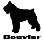 Kuvaus: C:\Users\Satu-Ilona\Documents\Ilowilla 2011\profiilipaidat\koirat_ac\bouvier_typistetty.jpg