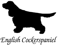Kuvaus: C:\Users\Satu-Ilona\Documents\Ilowilla 2011\profiilipaidat\koirat_df\english_cockerspaniel_ph.jpg