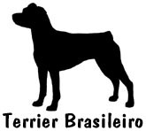 Kuvaus: C:\Users\Satu-Ilona\Documents\Ilowilla 2011\profiilipaidat\koirat_ac\brazilian_terrier.jpg